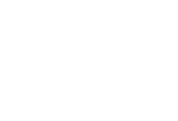 LF Spirits